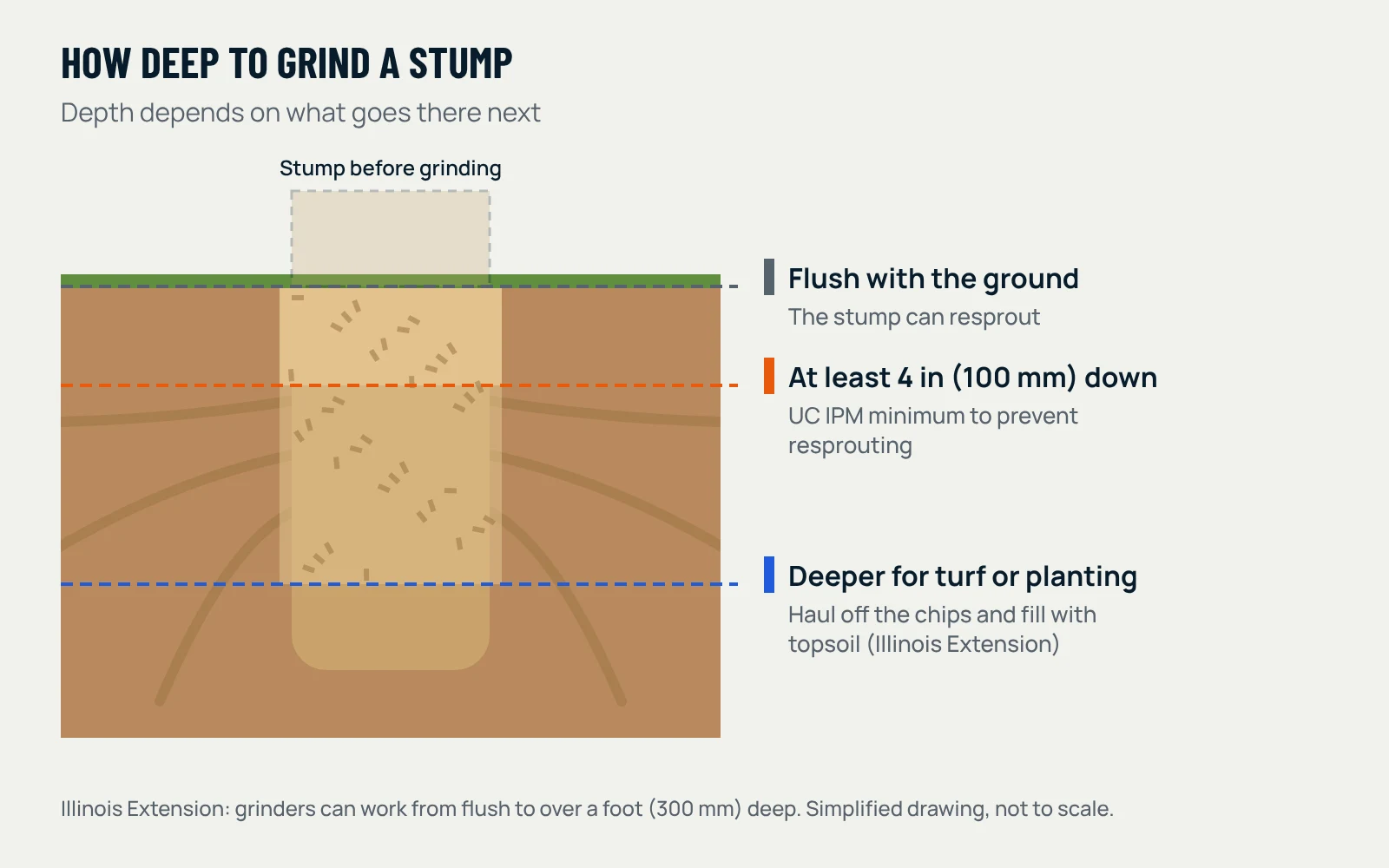 Cross-section of a ground-out stump below the lawn surface. Flush: stump cut level with the ground, which can resprout. At least 4 inches (about 100 mm) below ground: UC IPM minimum to prevent resprouting. Deeper for turf or planting, then haul off the chips and fill with topsoil, as Illinois Extension recommends. Grinders can work from flush to over a foot (about 300 mm) deep.