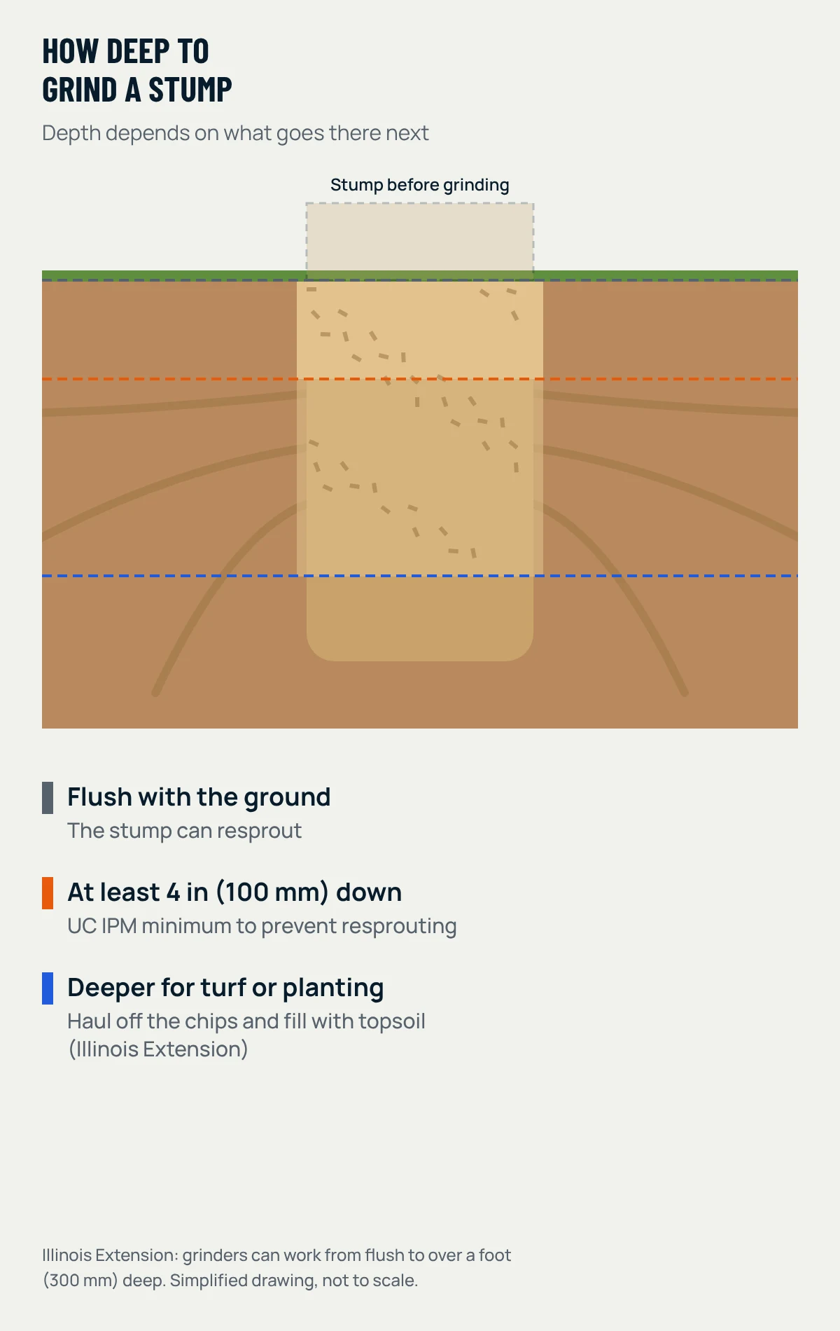 Cross-section of a stump showing grinding depths: flush, at least 4 inches below ground to stop resprouting, and deeper for turf or planting